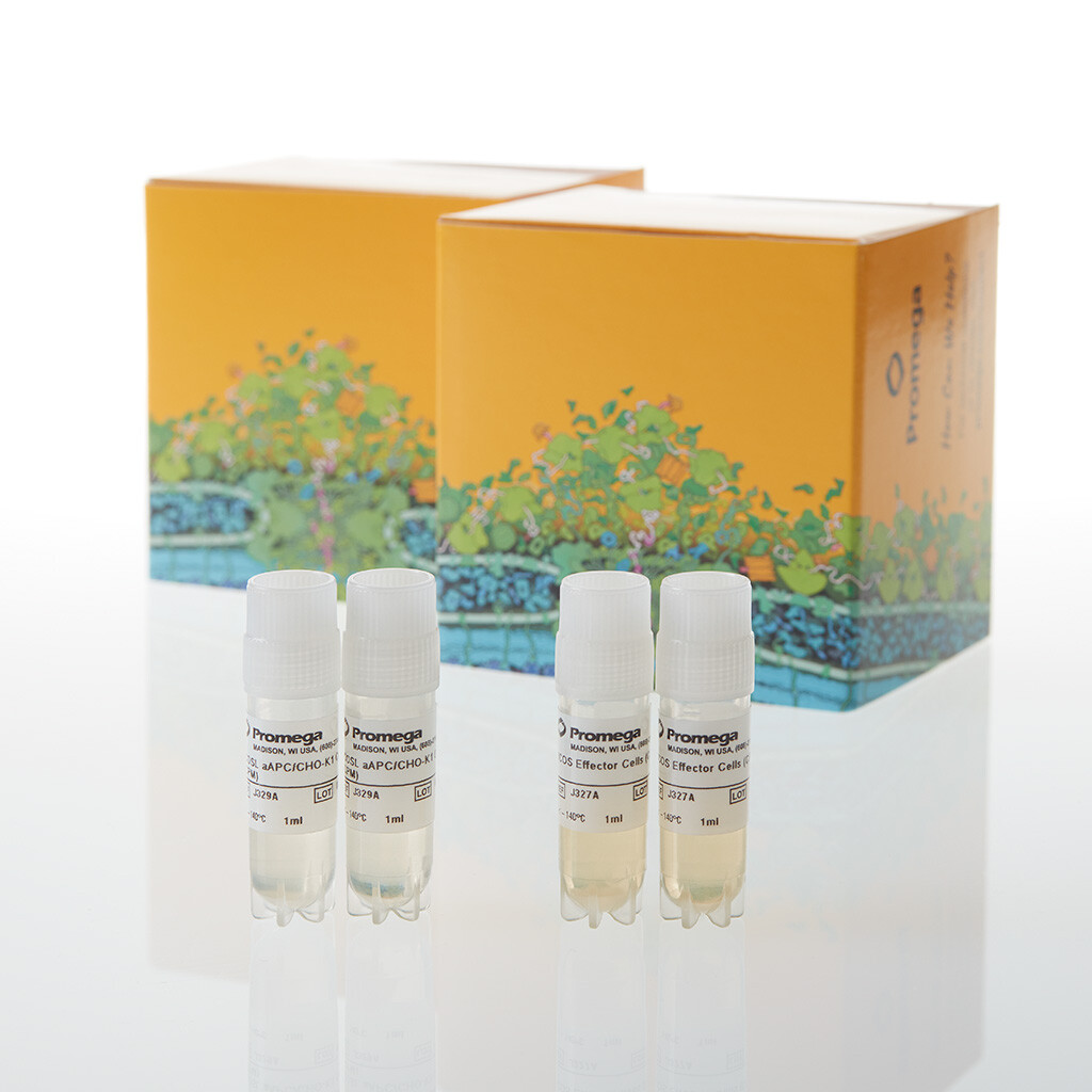 ICOS Blockade Bioassay, Propagation Model 2X 2 vials