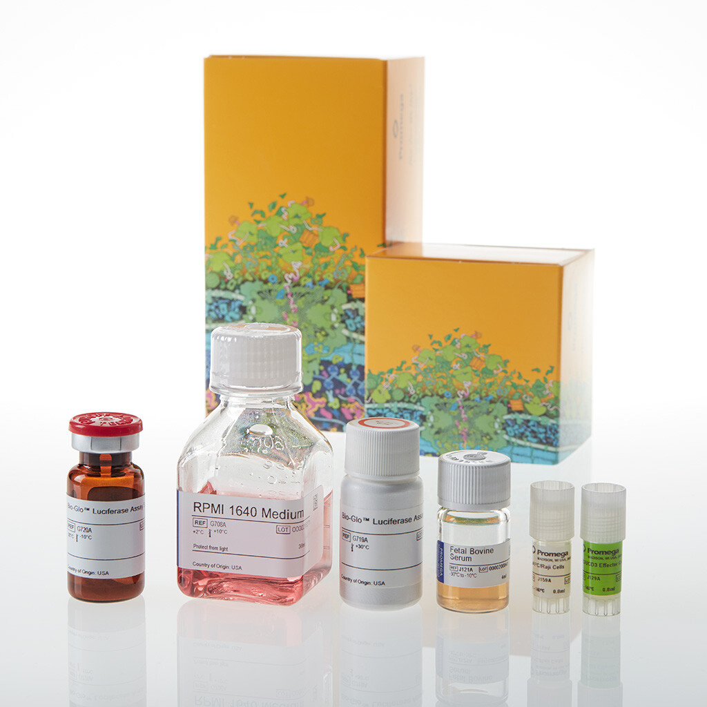 CD28 Blockade Bioassay 1 each