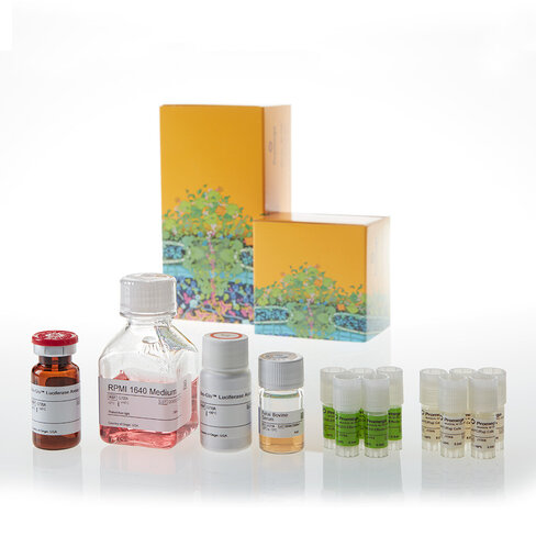 CD28 Blockade Bioassay 5X 1 each