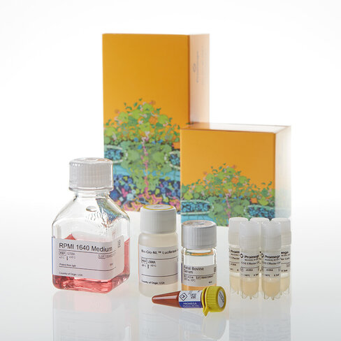 ICOS Bioassay Core Kit 5X 1 each