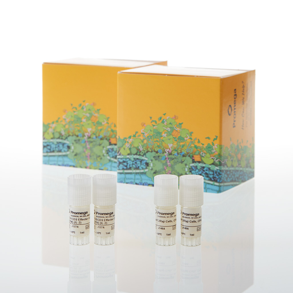 CD28 Blockade Bioassay Propagation Model 2X 2 vials