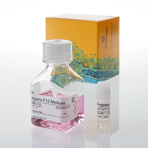 FcyRIIb aAPC/CHO-K1 Cells