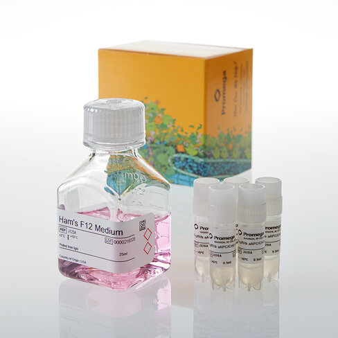 FcyRIIb aAPC/CHO-K1 Cells 5X