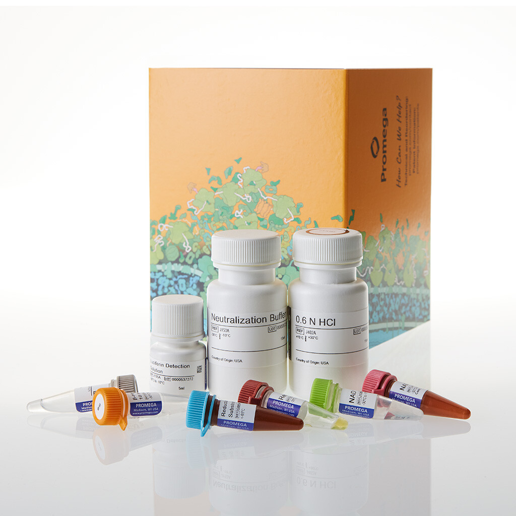 BHB-Glo (TM) (ketone Body) Assay 5 ml