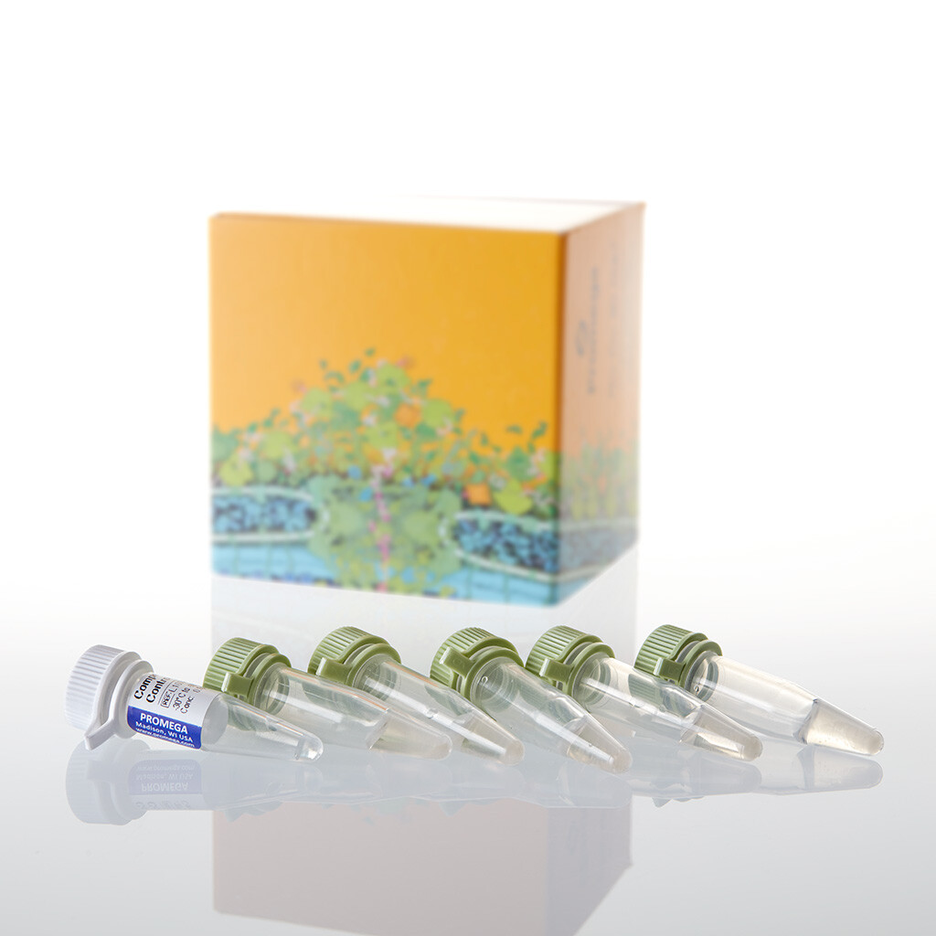 JM109 Competent Cells 1 mL