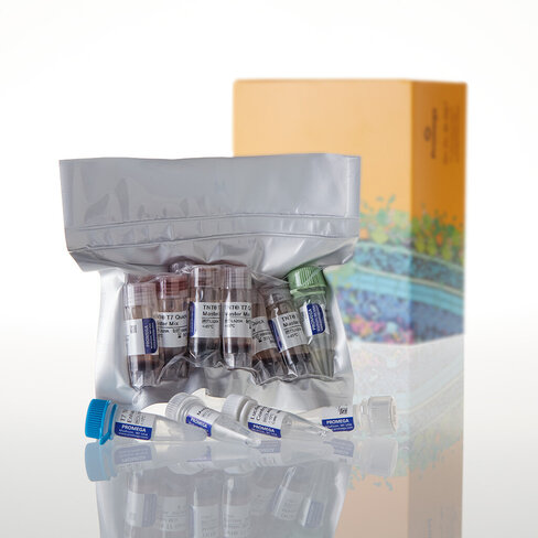 TNT T7 Quick Coupled Transcription 40 reactions