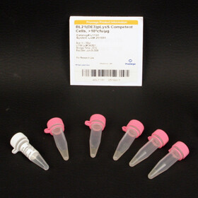 BL21(DE3)pLysS Competent Cells 1 ml
