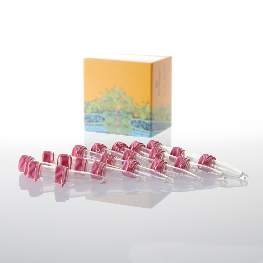 Single-use BL21(DE3)pLysS 1000 µl