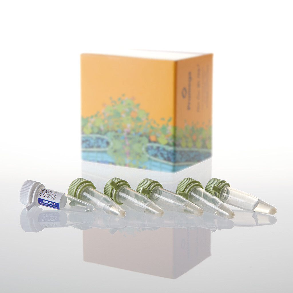 JM109 Competent Cells 1ml (5 x 200ul) 1 ml