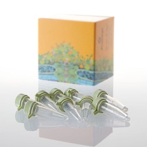 Single-use JM109 Competent Cells 20x50 1000 µl