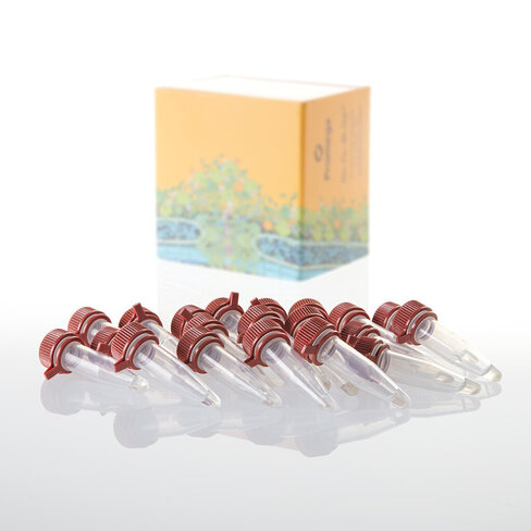 Single-use HB101 Competent Cells 20x50 1000 µl