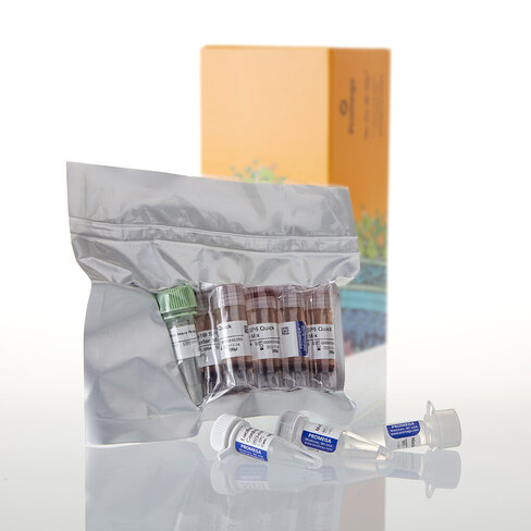 TNT SP6 Quick Coupled Transcription 40 reactions