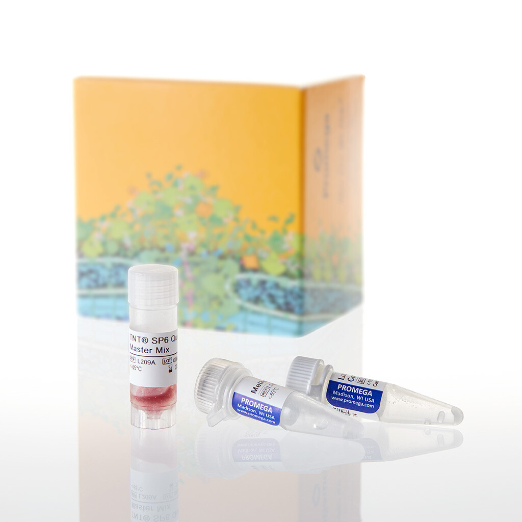 TNT SP6 Quick Coupled T/T System Trial 5réactions 5 reactions