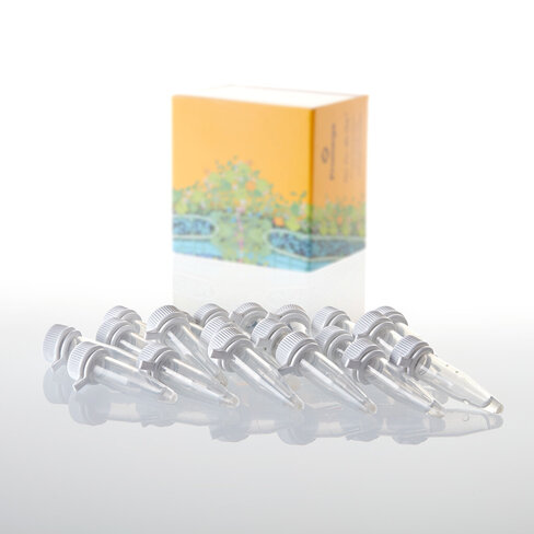 Single Step (KRX) Competent Cells 20x50 1000 µl