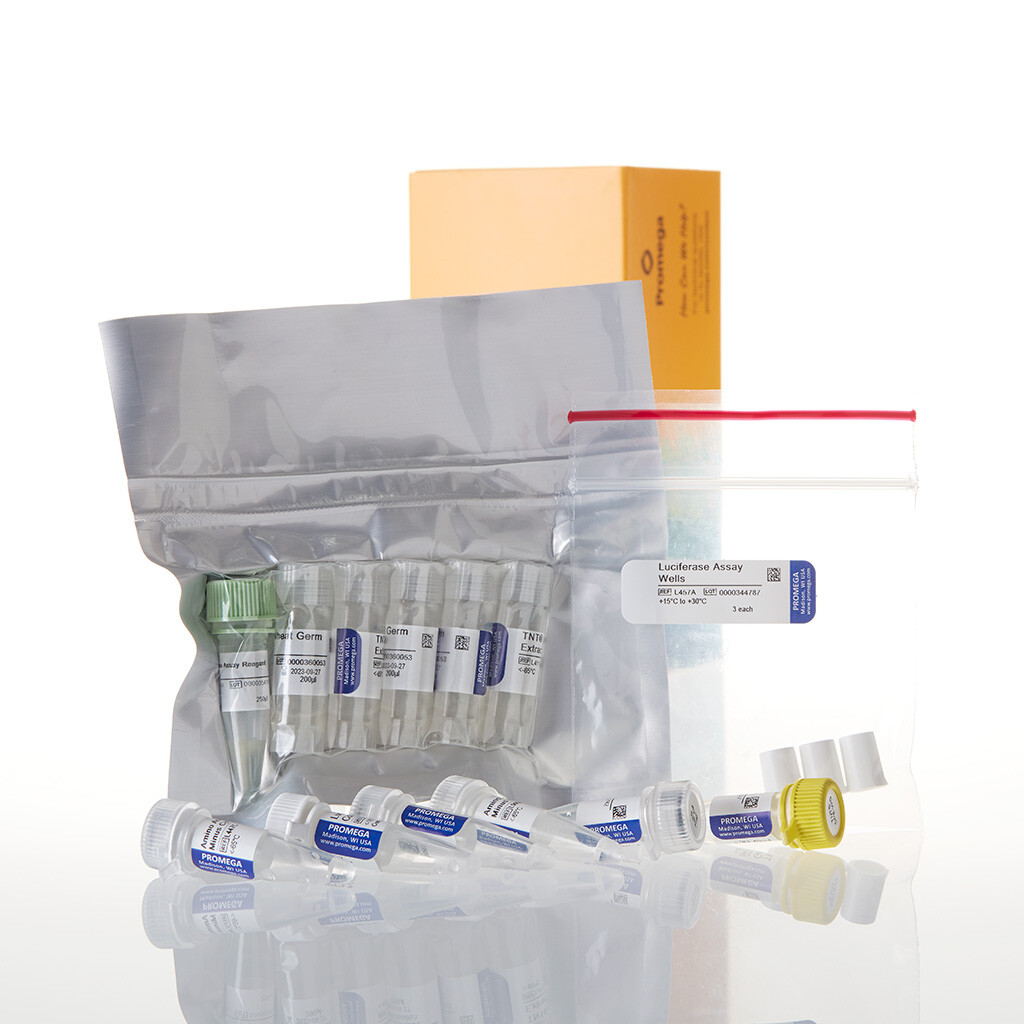 TNT SP6 Coupled Wheat Germ Extract Sys 40 reactions