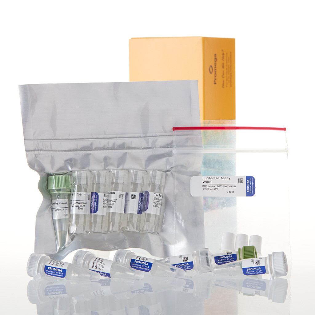 TNT T7 Coupled Wheat Germ Extract Sys 40 reactions