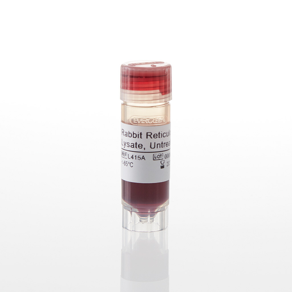 Rabbit Reticulocyte Lysate Untreated 1 ml