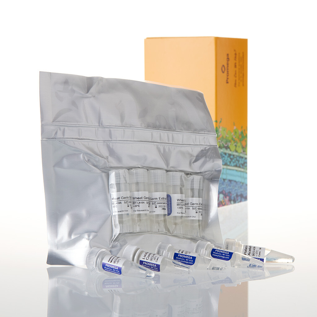 Wheat Germ Extract 5x200 1000 µl