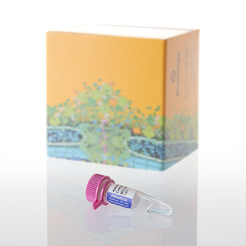 Amino Acid Mixture Complete 175 µl