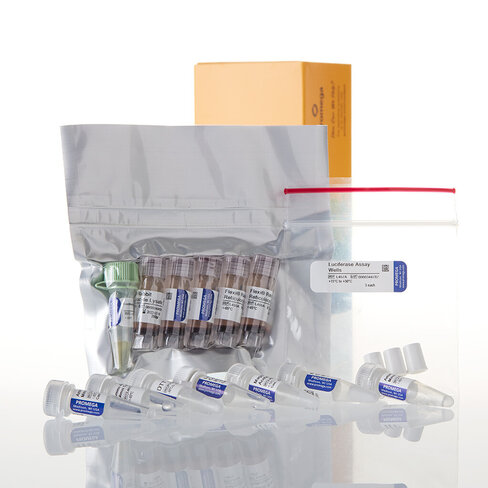 Flexi Rabbit Reticulocyte Lysate System 30 reactions