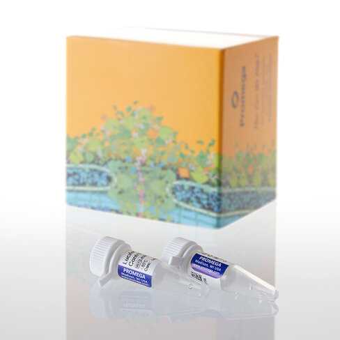 Luciferase Control RNA 20 µg