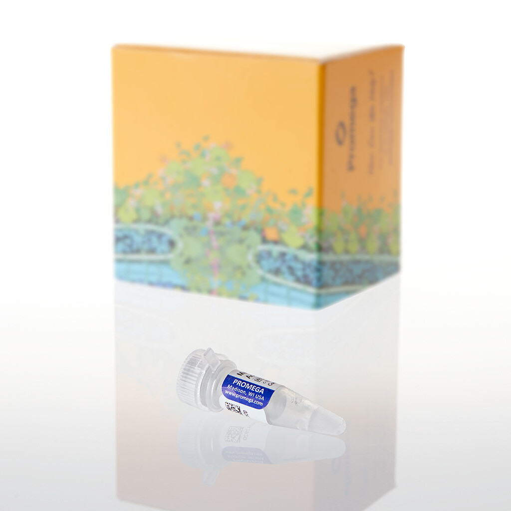 Magnesium Acetate, 25mM, 100 µl