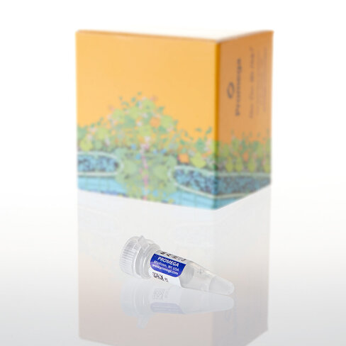 Magnesium Acetate, 25mM, 100 µl