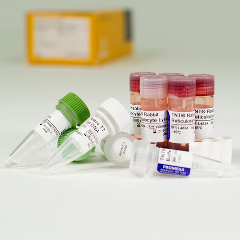 TNT T7 Coupled Reticulocyte Lysate Sys 40 reactions