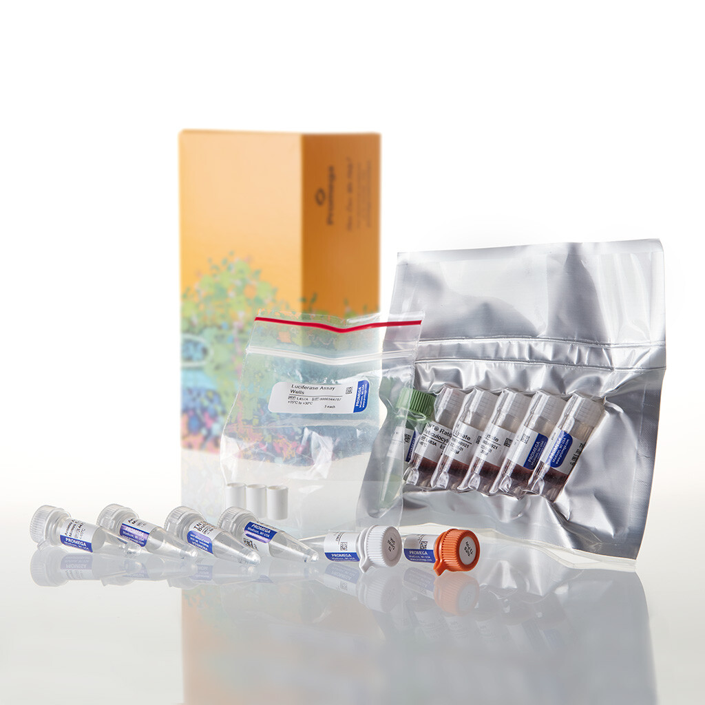 TNT T3 Coupled Reticulocyte Lysate Sys 40 reactions