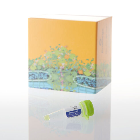 FluoroTect Green(Lys) In Vitro Trans 40 reactions