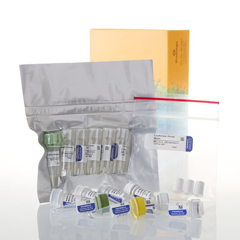 TNT T7/SP6 Coupled Wheat Germ Extract System 40 réactions