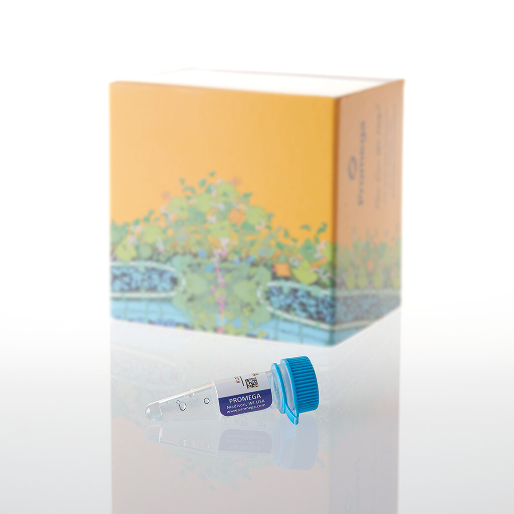 Transcend tRNA, 30 µl