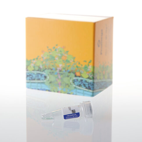 Amino Acid Mixture Minus Methionine/Cys