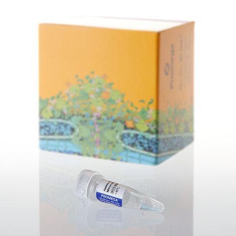 Amino Acid Mixture Minus Methionine, 175