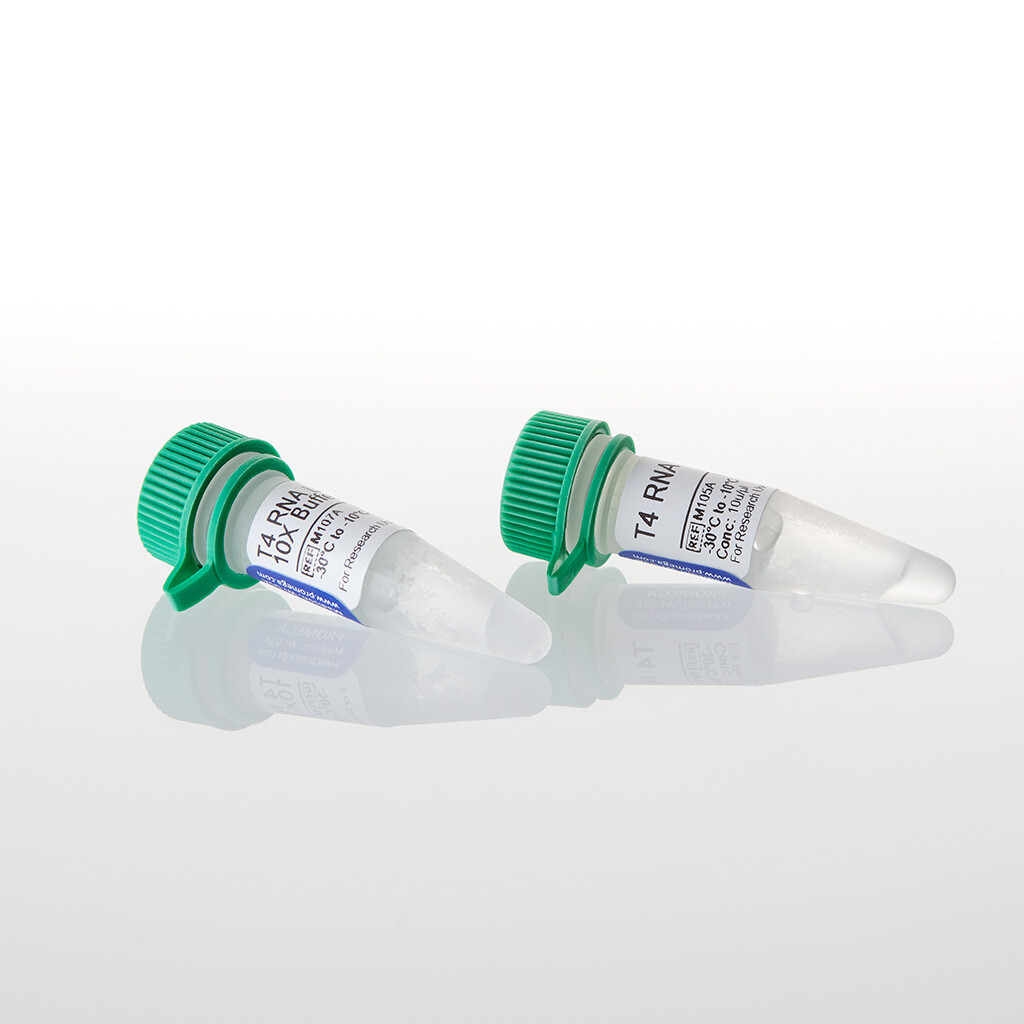 T4 RNA Ligase 500u 500u 500 unités