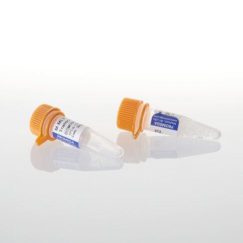 M-MLV Reverse Transcriptase 10,000u 10000u 10000 unités