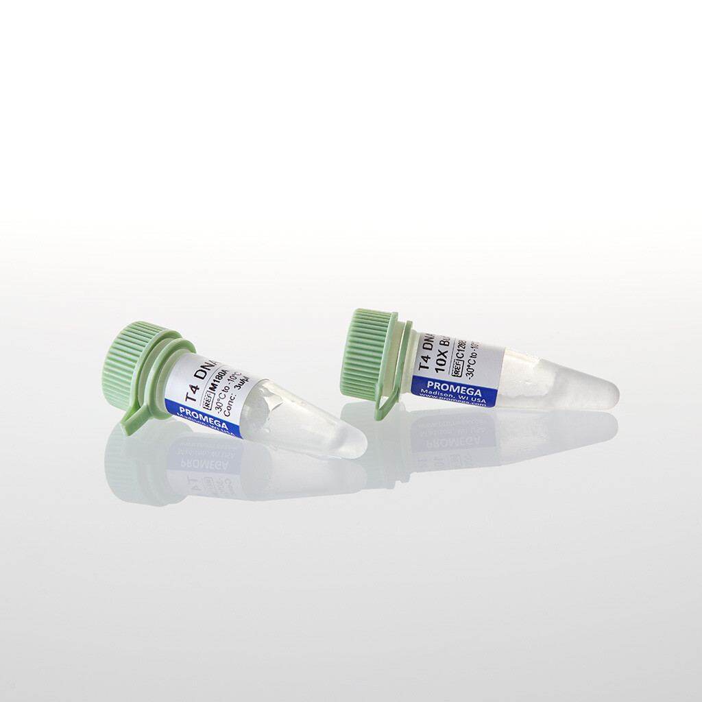 T4 DNA Ligase 100u 100u 100 unités