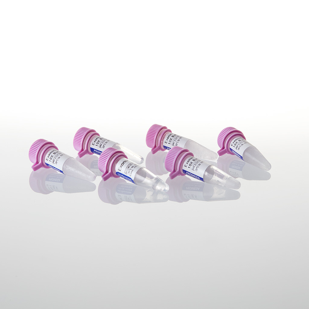 Exonuclease III 25,000u 25000u 25000 unités