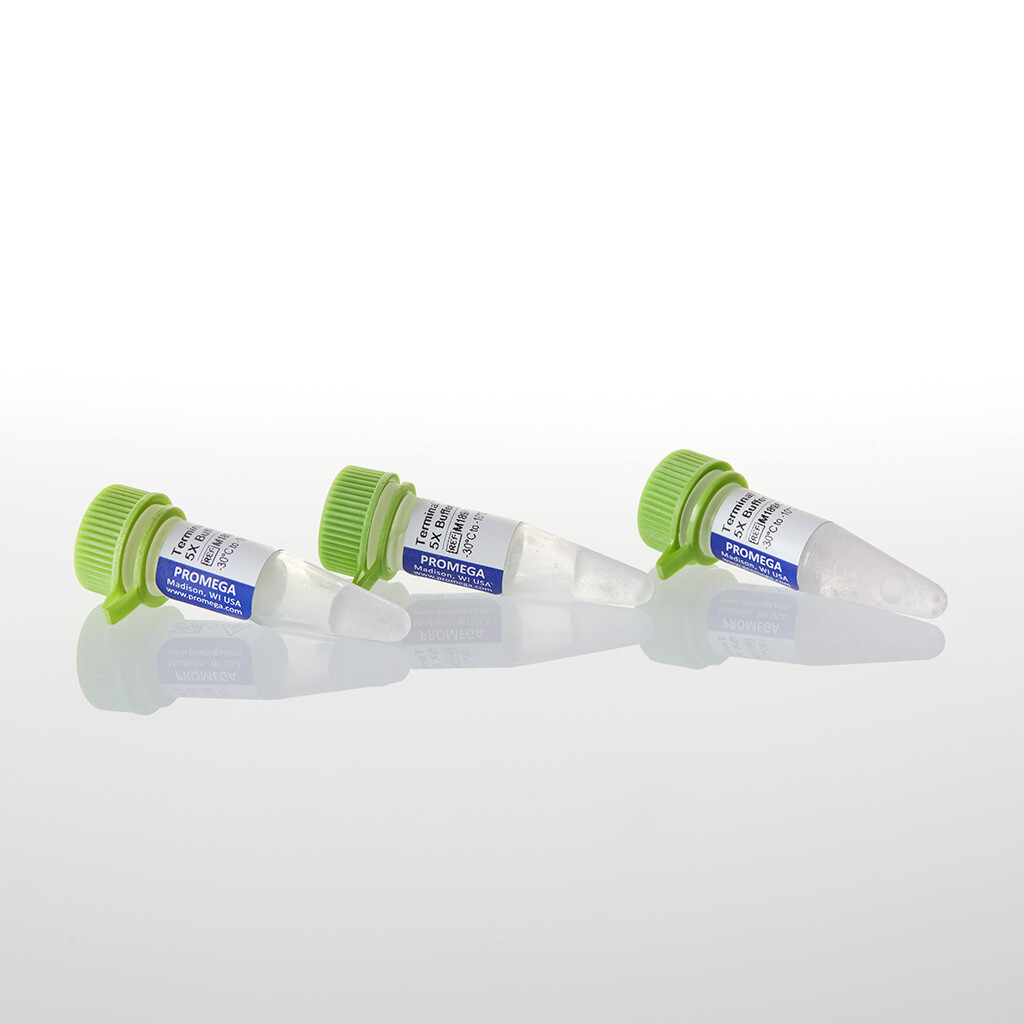 Terminal Transferase Buffer Pack 3×500 1500 µl