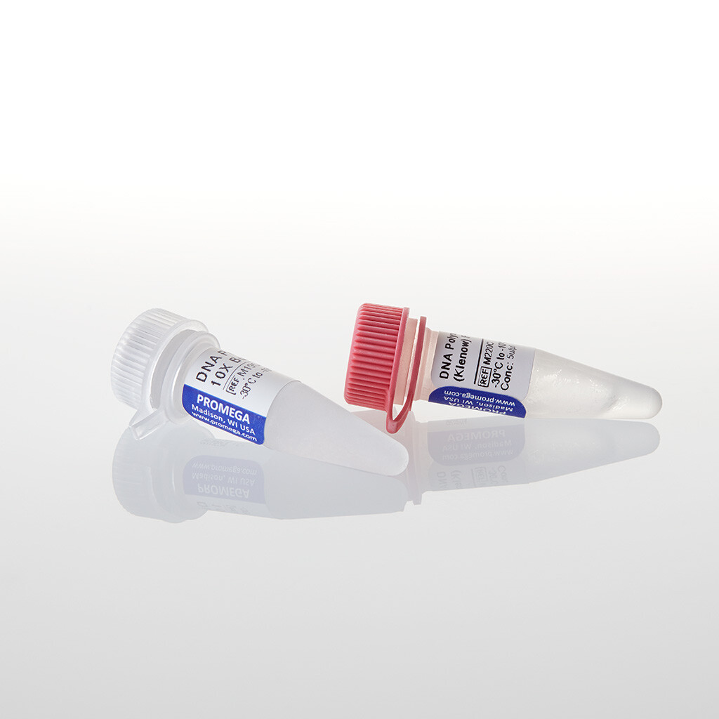 Klenow Fragment 500u 500u 500 unités