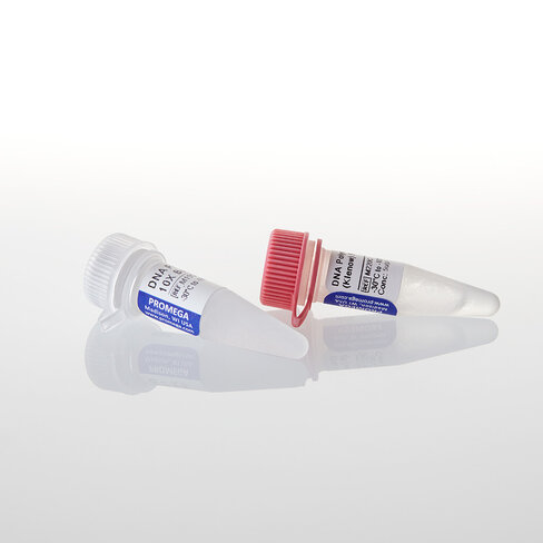 Klenow Fragment 500u 500u 500 unités