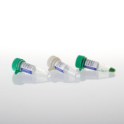 GoTaq DNA Polymerase 100u 100u 100 unités