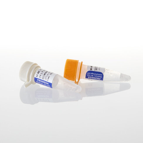 M-MLV RT RNase (H-) PointMutant 10000u 10000u 10000 unités