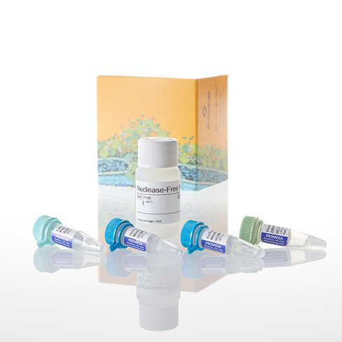 GoTaq Long PCR Master Mix 100 reactions