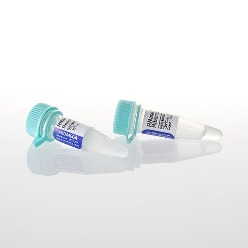 RNase ONE Ribonuclease 1,000u 1000u 1000 unités