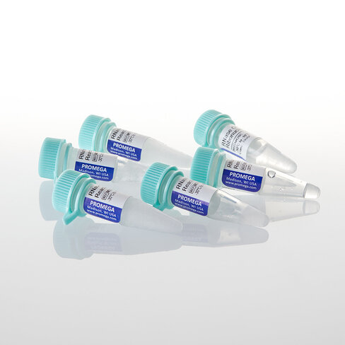 RNase ONE 5,000u 5u 5 unités