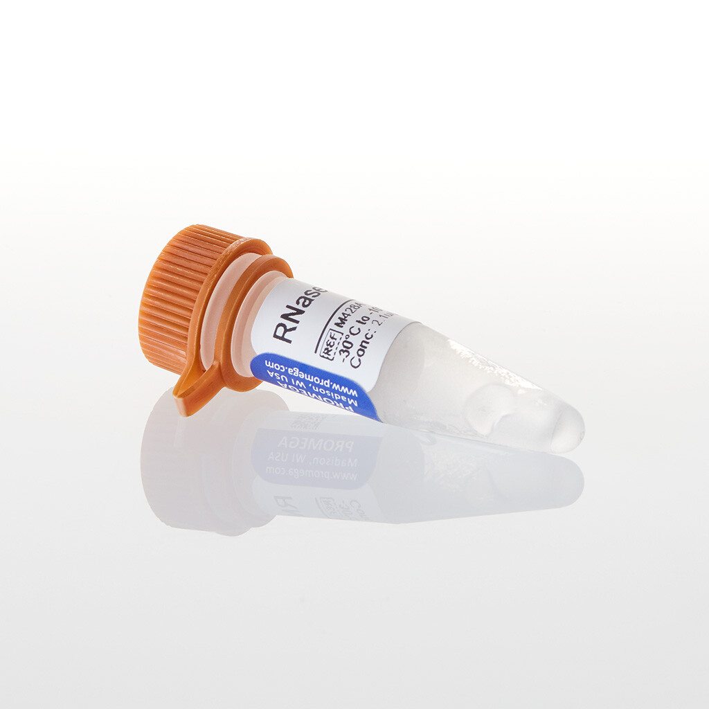 RNase H 50u 50u 50 unités