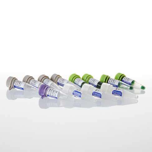 GoTaq G2 Hot Start Polymerase 500u 500u 500 unités