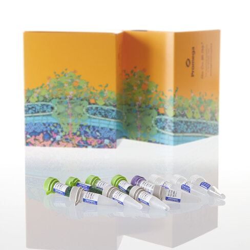 GoTaq G2 Hot Start Polymerase 10,000u 10000u 10000 unités