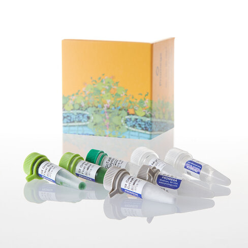 GoTaq PCR Core System I 200 reactions